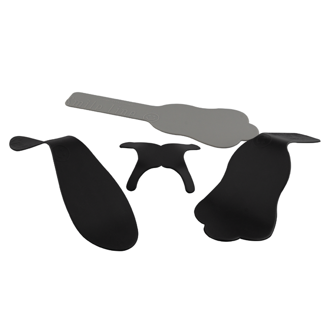 Набор контрасторов Flexipalette (A,B,C,Color Match) для дентальной фотографии | Smile Line (Швейцария)